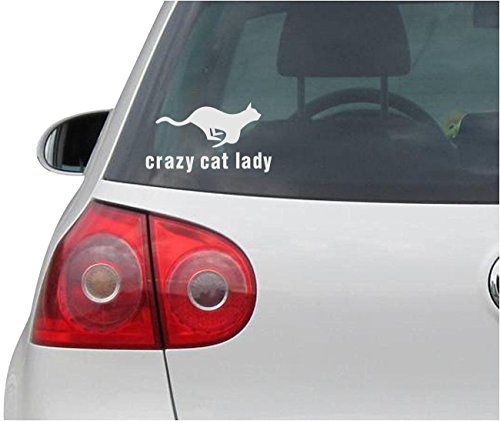 Pegatinas / Pegatinas - JDM - CRAZY CAT LADY Kitty Car, Truck, Notebook, Vinyl Decal Sticker - silver -139mmx76mm