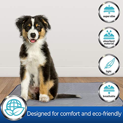 PET MAGASIN Toallitas de Entrenamiento para Mascotas, Paquete de 3, Almohadilla de Entrenamiento Lavable y Reutilizable (M)