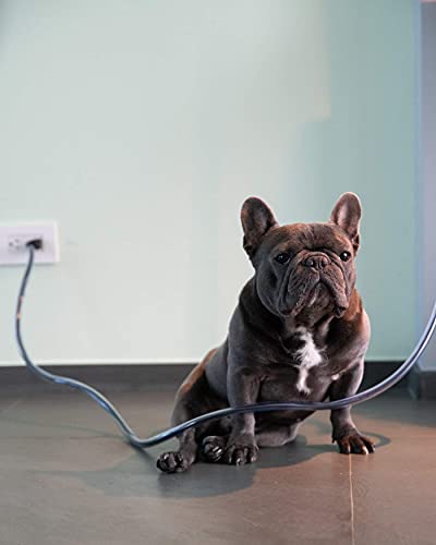 PetCords Protector de cable para perros y gatos, protege a tus mascotas de morder cables aislados de hasta 3 metros, sin aroma, inodoro