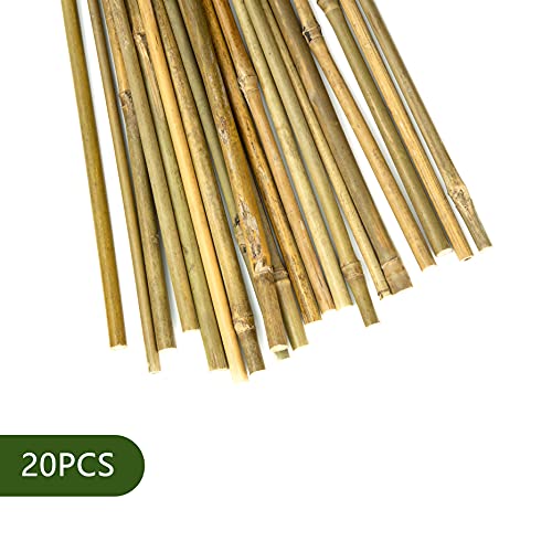Pllieay Estacas de bambú Gruesas Naturales Estacas de jardín Bastones de bambú para Soporte de Plantas, 40CM