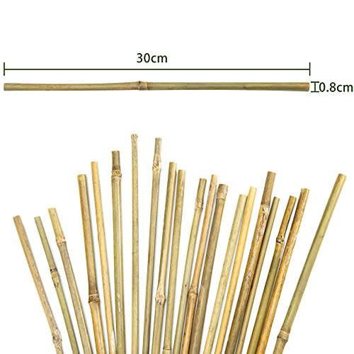 Pllieay Estacas de bambú Gruesas Naturales Estacas de jardín Bastones de bambú para Soporte de Plantas, 40CM