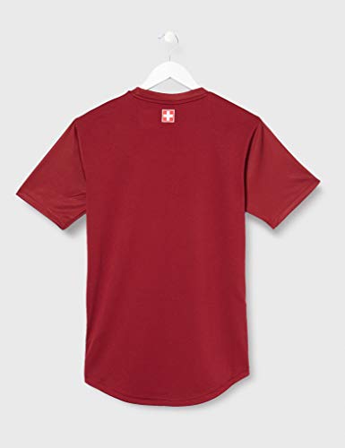 PUMA Sfv Stadium Jersey Camiseta, Hombre, Pomegranate, S