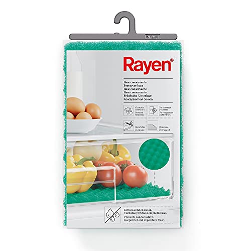 Rayen 6313.01 - Base conservante para nevera, 47 x 30 cm