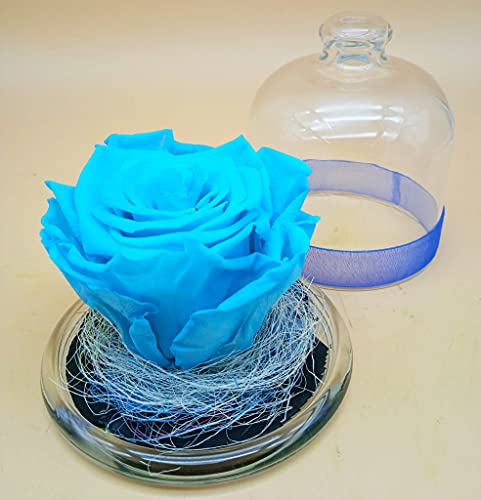 Rosa eterna preservada Azul Claro. Cúpula con Rosa eterna Azul Claro. Rosa eterna preservada Azul. Hecho en España.