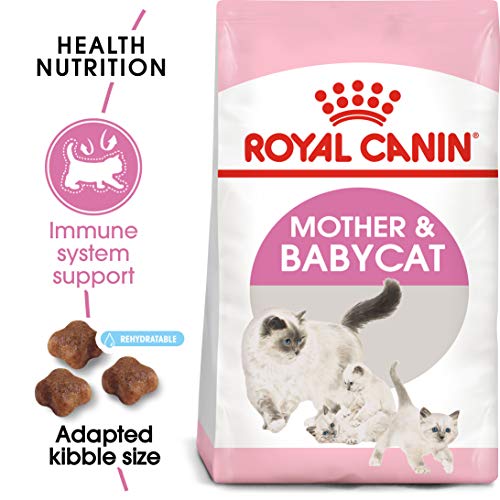 Royal Canin Comida para gatos Babycat 2 Kg