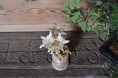 sagl.tirol holzmanufaktur Pino con flor de las nieves tallada a mano, 3 unidades atadas con rafia natural.