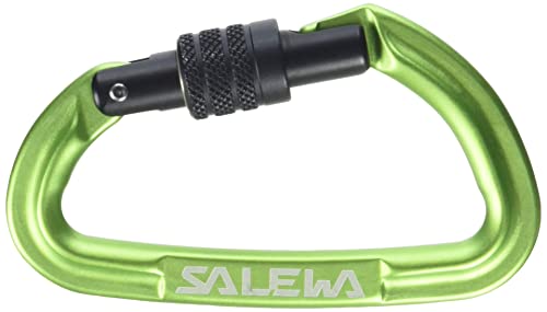 Salewa Hot G3 Screw Carabiner, Unisex-Adult, Verde, Uni