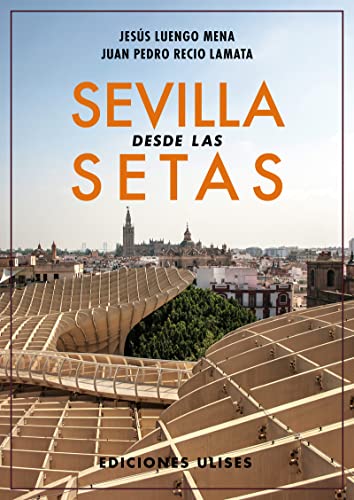 Sevilla desde las setas (TEMA LOCAL)