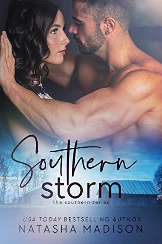 Southern Storm ( The Southern Series Book 3) (English Edition)