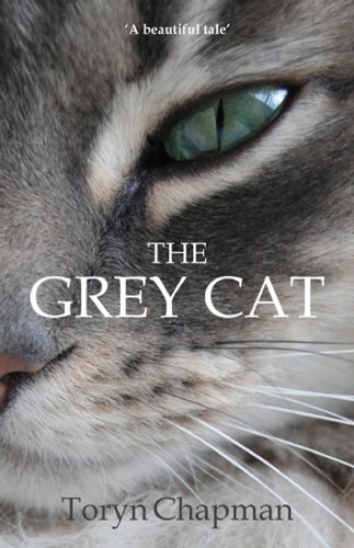The Grey Cat (English Edition)