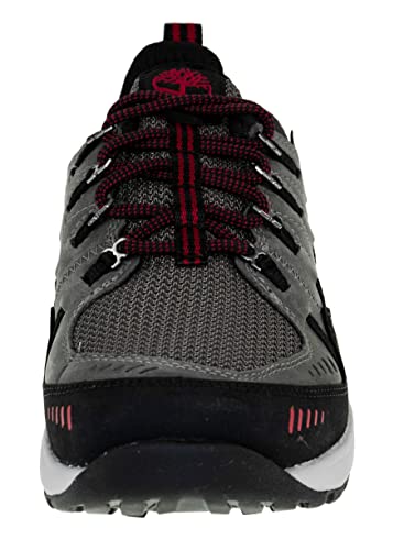 Timberland Flyroam Trail Low GTX Zapatos de senderismo impermeables para hombre, gris, 40 EU