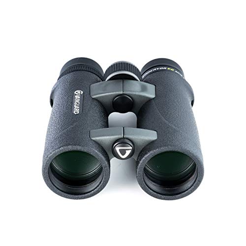 Vanguard Endeavor ED 8420 BaK-4 Negro Binocular - Binoculares (130 mm, 42 mm, 154 mm, 730 g, 130 x 42 x 154 mm)