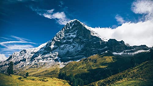 Vista Del Eiger En Grindelwald Suiza Pintura Por Números Diy Lienzo Único Kit De Pintura Al Óleo Pintura Digital