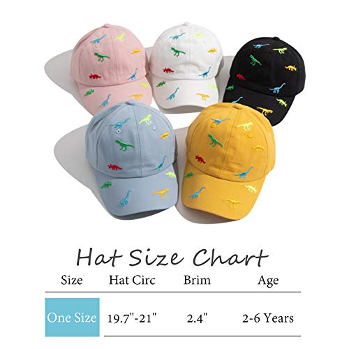 XIAOHAWANG Gorra de Béisbol Infantil Unisex Niño Sombrero Personalizado Sombrero de Verano 2 a 6 años(Sky Azul,2-6 años)