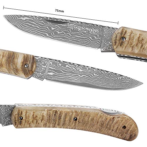 YOUSUNLONG Cuchillo plegable Hoja de acero de Damasco - cuchillo de supervivencia con funda de cuero - Caja de madera de nogal natural americana - mango de cuerno de cabra natural