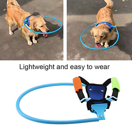 YOUTHINK Arnés para Perros Ciegos Halo Ajustable Dispositivo de Guía de Chaleco Anticolisión Protector para Perros y Gatos(XS)