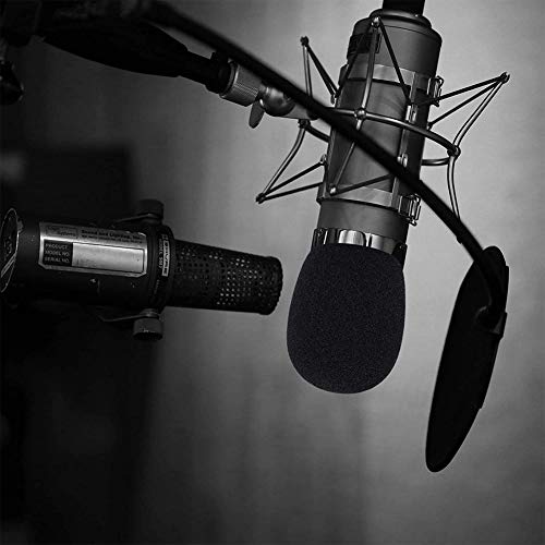 10 Piezas Esponjas Microfonos, Cubiertas de Espuma de Microfono, Espuma de Parabrisas de Micrófono, para KTV, Escenario, Entrevista, Reunión y Actividades al Aire Libre (negro)
