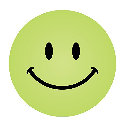 234 Smile Faces Mix Coloured Praise Stickers Teacher Parents Children