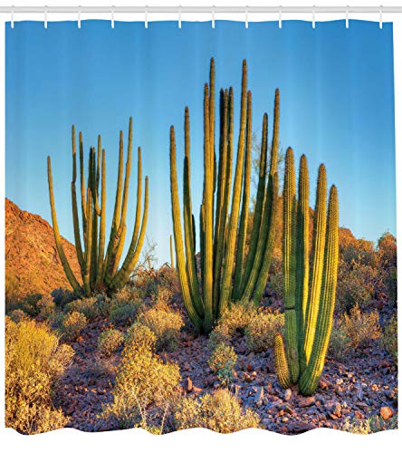 ABAKUHAUS Cactus Cortina de Baño, Foto de montaña Cactus, Material Resistente al Agua Durable Estampa Digital, 175 x 220 cm, Multicolor