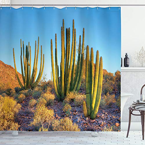 ABAKUHAUS Cactus Cortina de Baño, Foto de montaña Cactus, Material Resistente al Agua Durable Estampa Digital, 175 x 220 cm, Multicolor