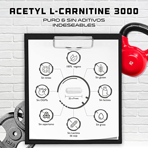 Acetil L-Carnitina 3000 con 250 cápsulas - 3000 mg por porción diaria - Premium: L-Carnitina en forma de acetilo - Altamente dosificada - Vegano