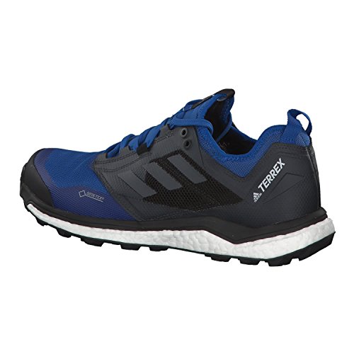 Adidas Terrex Agravic XT GTX, Zapatillas de Trail Running Hombre, Azul (Belazu/Gricin/Negbás 000), 43 1/3 EU