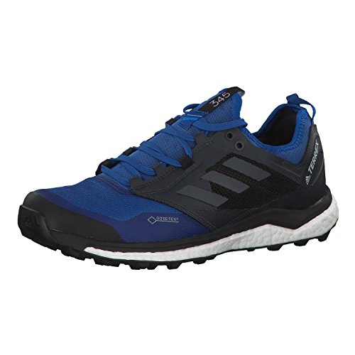 Adidas Terrex Agravic XT GTX, Zapatillas de Trail Running Hombre, Azul (Belazu/Gricin/Negbás 000), 43 1/3 EU