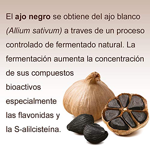 Ajo negro Cápsulas 500mg | 120 Cápsulas de Ajo fermentado natural | Producto estandardizado | Un bote alcanza para 4 meses