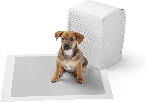 Amazon Basics - Empapadores de adiestramiento para perros, carbón, normal, 40 unidades