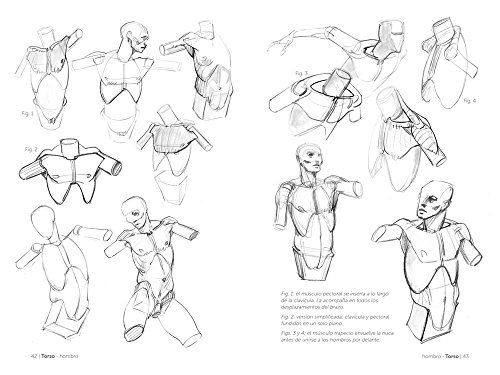 Anatomía artística 2. Cómo dibujar el cuerpo humano de forma esquemática