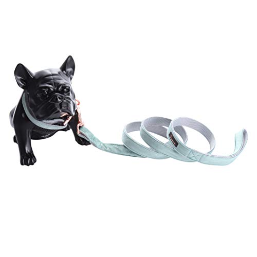 ARING PET Juego de collar y correa de terciopelo para perro, collar de perro y correa, collar ajustable para perros pequeños y medianos.