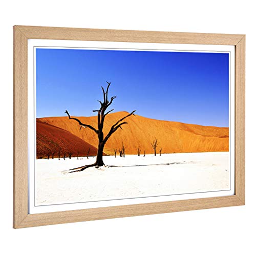 Big Box Art - Cuadro Enmarcado (62 x 45 cm), diseño de Paisaje del Desierto de Namibia con árboles