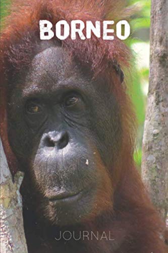 Borneo: 120 Lined Pages Notebook | 6x9 | Orangutan In The Wild (Borneo) | Gift Idea For Travellers, Explorers, Backpackers, Campers, Tourists | Holiday Memory Book