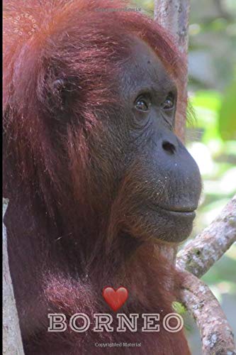 Borneo: 120 Lined Pages Notebook | 6x9 | Orangutan In The Wild In Borneo | Gift Idea For Travellers, Explorers, Backpackers, Campers, Tourists | Holiday Memory Book