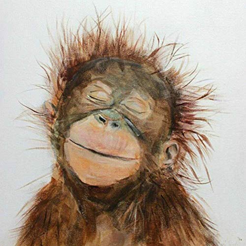 Borneo Orangutan Funny Animal DIY Pintura al óleo por números Kits para pintura de adultos Color según los números en el lienzo