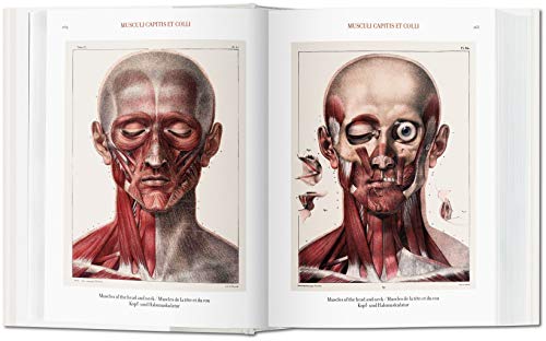 Bourgery. Atlas De Anatomía Humana Y Cirugía (Bibliotheca Universalis)