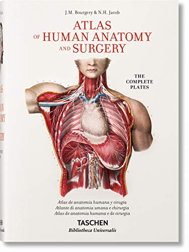 Bourgery. Atlas De Anatomía Humana Y Cirugía (Bibliotheca Universalis)