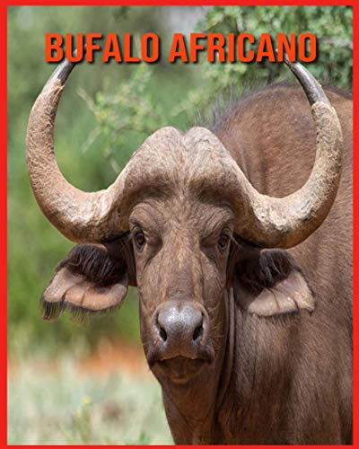 Bufalo Africano: Immagini bellissime e fatti interessanti Libro per bambini sui Bufalo Africano