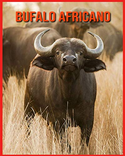 Bufalo Africano: Libro per bambini Fatti sorprendenti e immagini sui Bufalo Africano