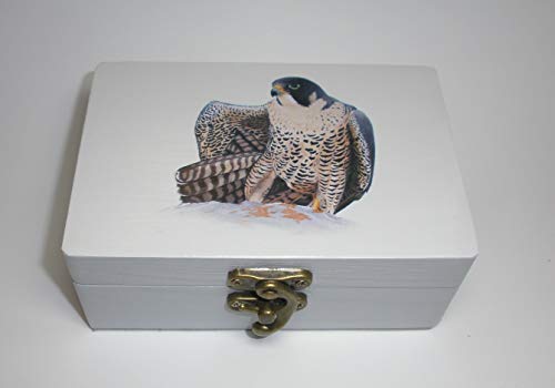 Caja artesana decorada"Peregrino", Halcón peregrino (Falco peregrinus), Peregrine falcon