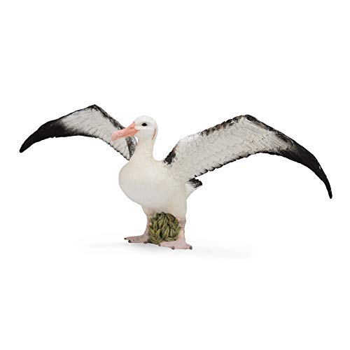 Collecta Albatros errante