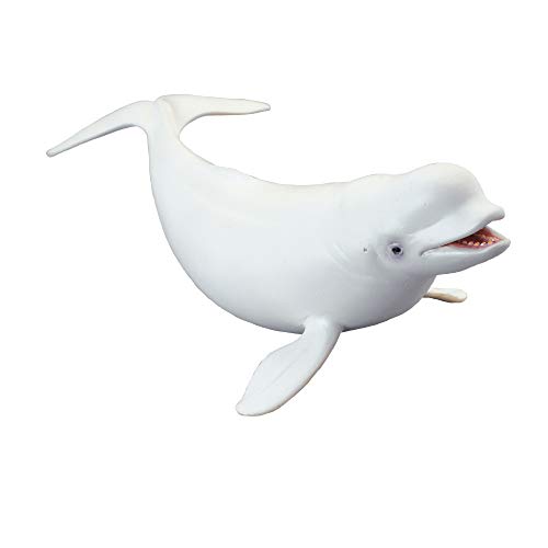 Collecta Beluga