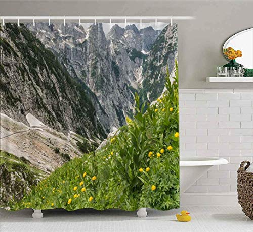 Cortina de ducha, cortina de ducha transparente, linda cortina de ducha Wildflower Meadow en el parque nacional Alpes Triglav Eslovenia Juego de baño con ganchos Cortina de ducha de baño Cortina de du