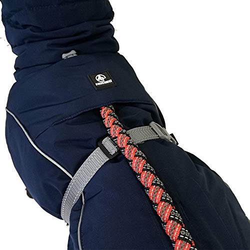 Croci Hiking - Abrigo Impermeable para Perros, Abrigo Acolchado Invernal, Forro termorregulador, K2, Color Azul, Talla 45 cm - 260 g