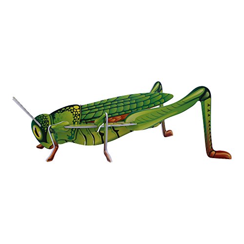 ELECTRÓNICA REY Puzzle 3D Colección Insectos, Modelo Saltamontes