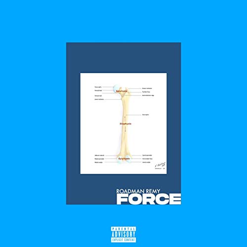 Force Freestyle [Explicit]