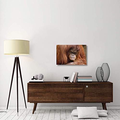 Global Gallery Orangutan - Retrato Femenino, Borneo Canvas Art, 76,2 x 50,8 cm