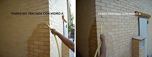 HIDRO A de Tecno Prodist - 1 Litro - Impermeabilizante Transparente al agua, Hidrofugante Incoloro para fachada, tejado, pared, muro, teja, ladrillo y piedra. (A Rodillo, brocha o pulverizador)