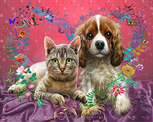 Kits de gatos de colores Pintura al óleo por números Figura Pintura acrílica Dibujo sobre lienzo Pintado a mano para adultos Juego de niños Decoración para el hogar A2 45x60cm