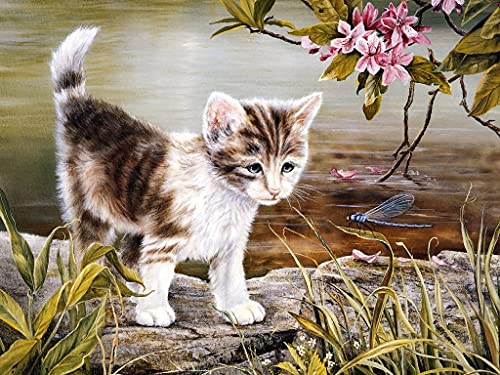 Kits de gatos de colores Pintura al óleo por números Figura Pintura acrílica Dibujo sobre lienzo Pintado a mano para adultos Juego de niños Decoración para el hogar A2 45x60cm